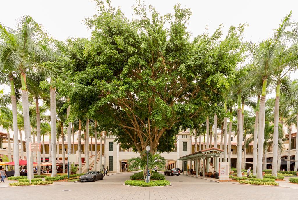 Pelicanstay In Coral Gables Miami エクステリア 写真